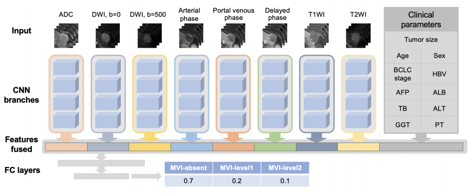 基于多模態(tài)影像的肝癌智能診斷技術(shù)研究與系統(tǒng)開發(fā)
